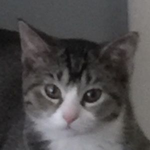 Meet your Posher, Dan